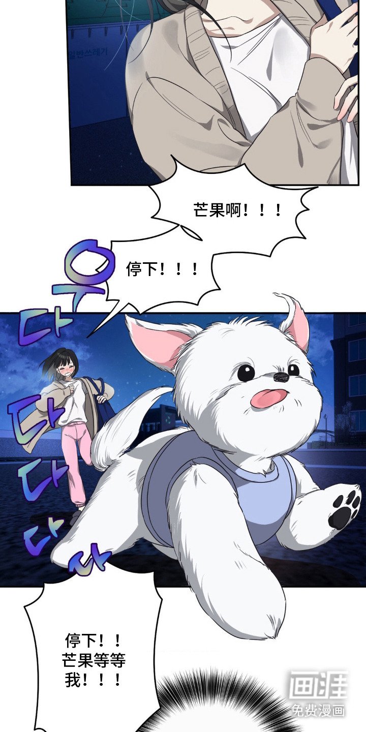 第1章：偶遇