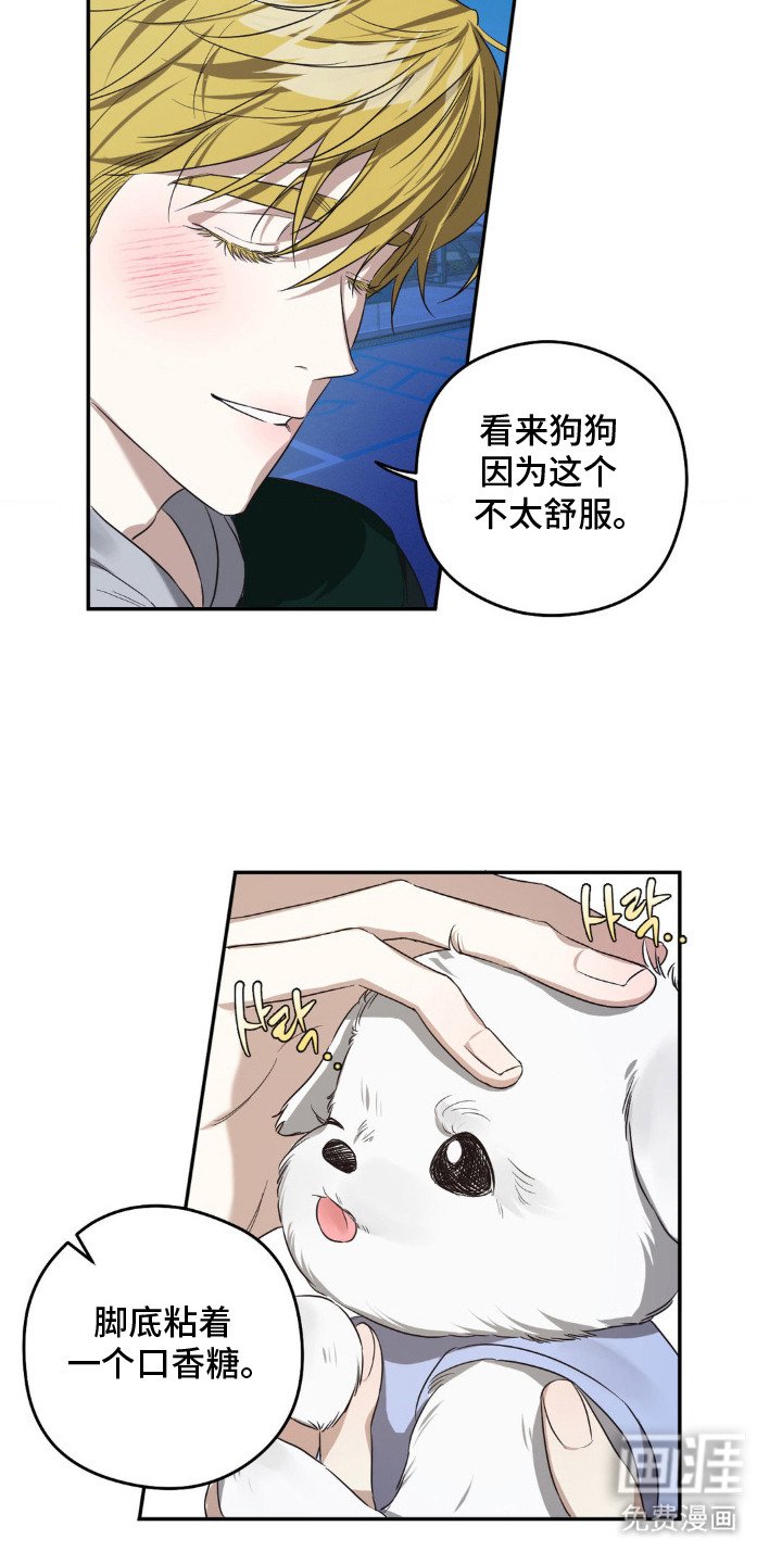 第1章：偶遇