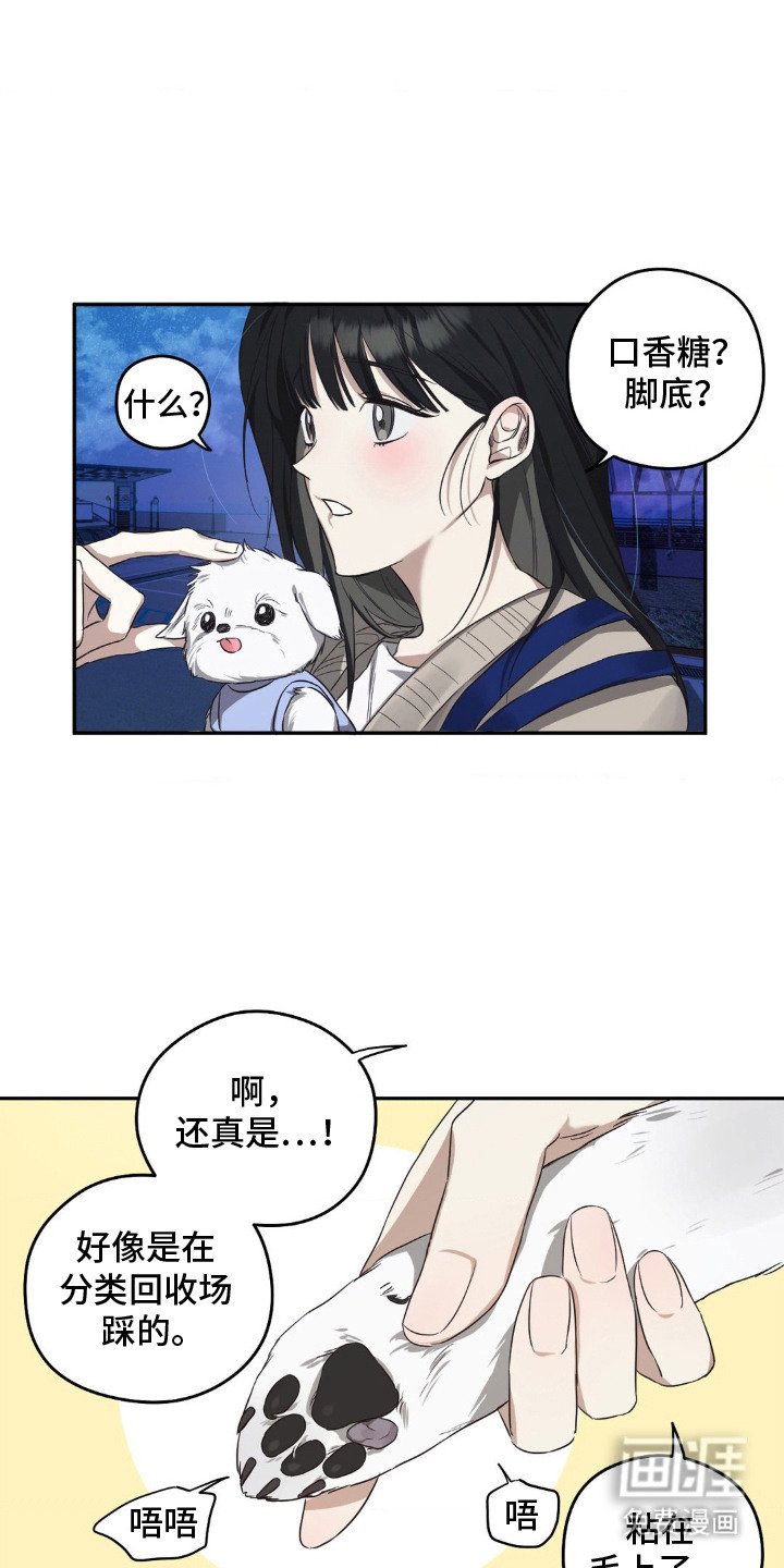 第1章：偶遇