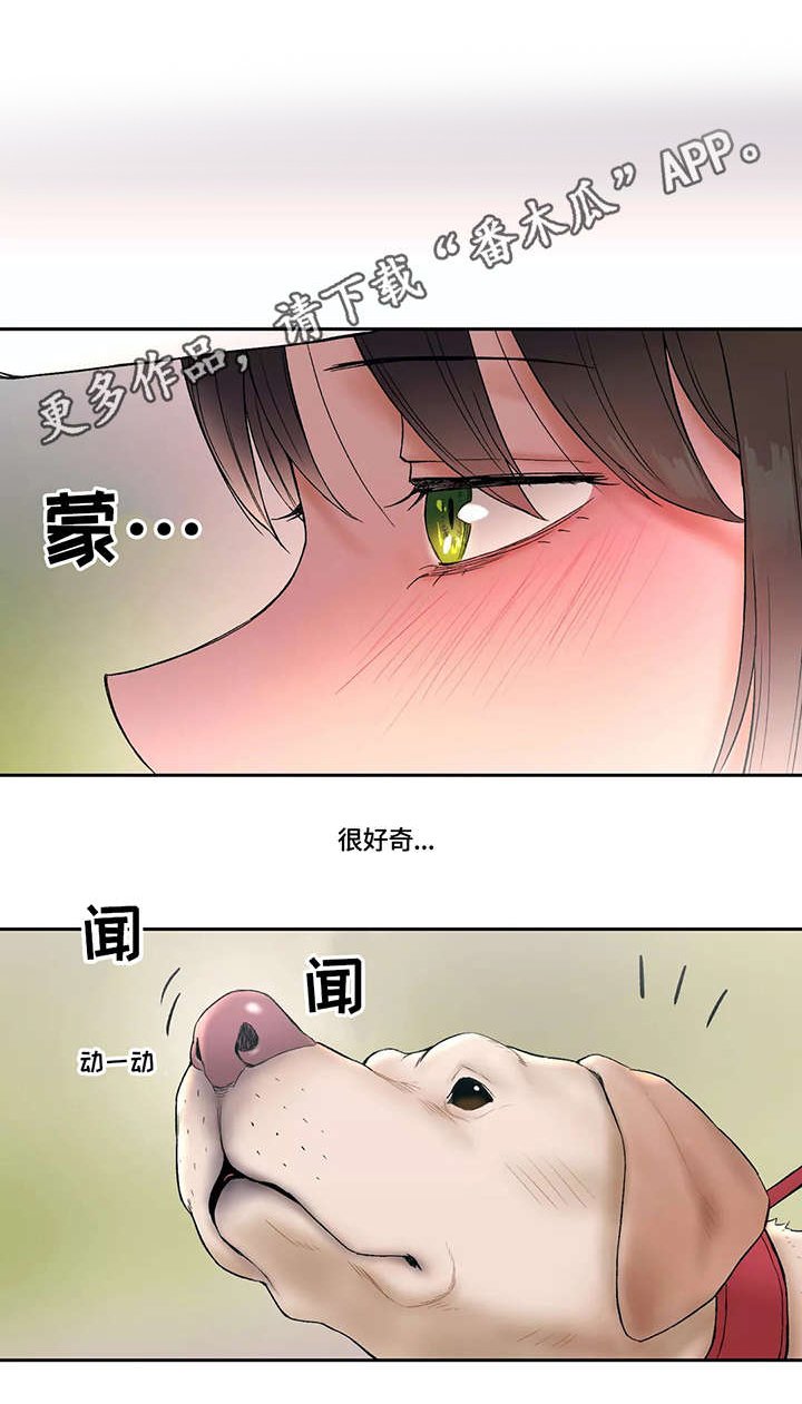 第17章：扑上来