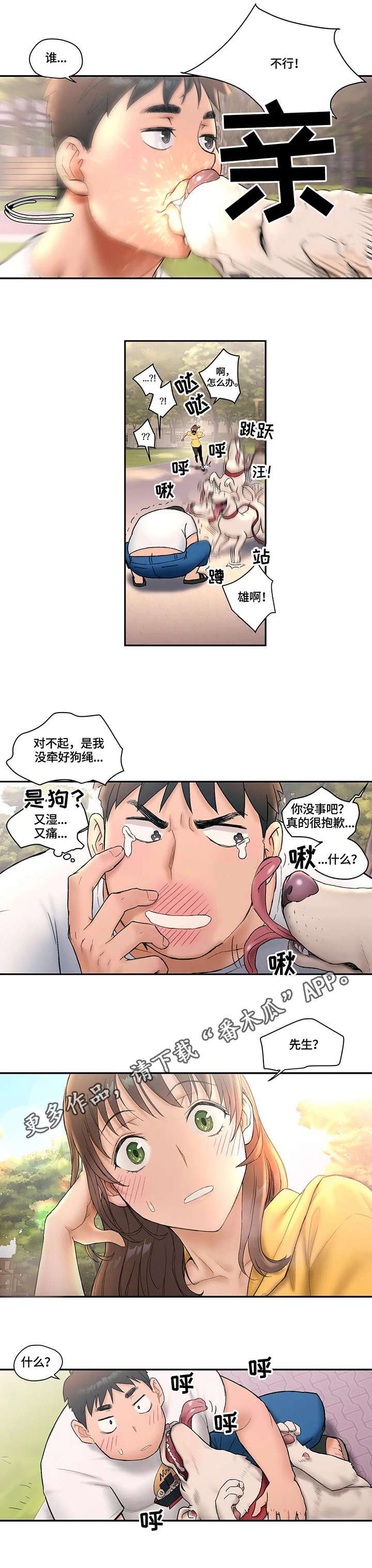 第8章：散步