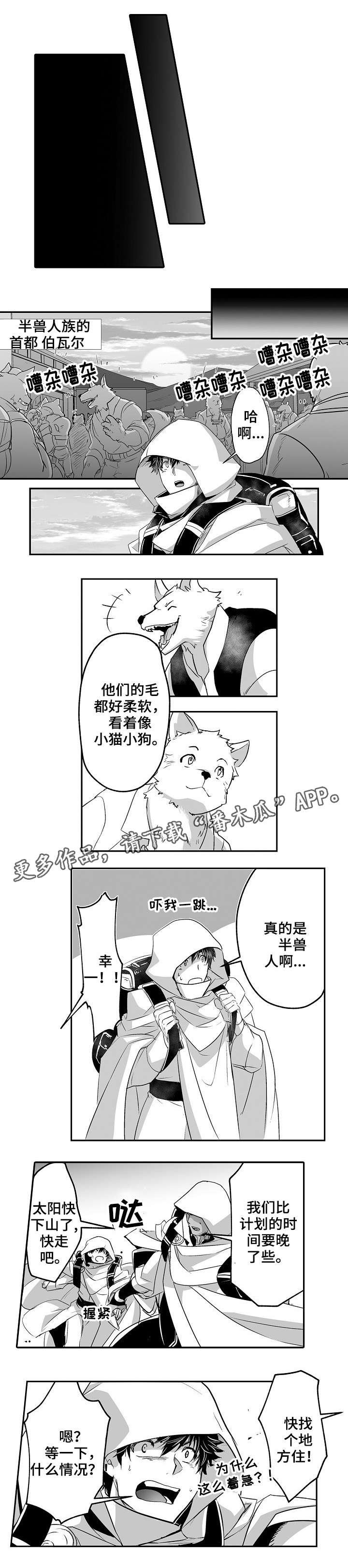 第13章：半兽人族