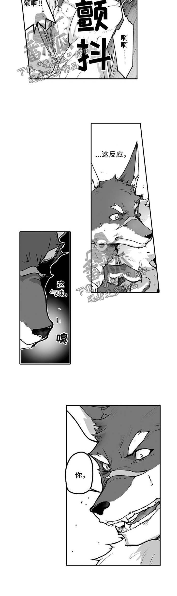 第22章：拯救