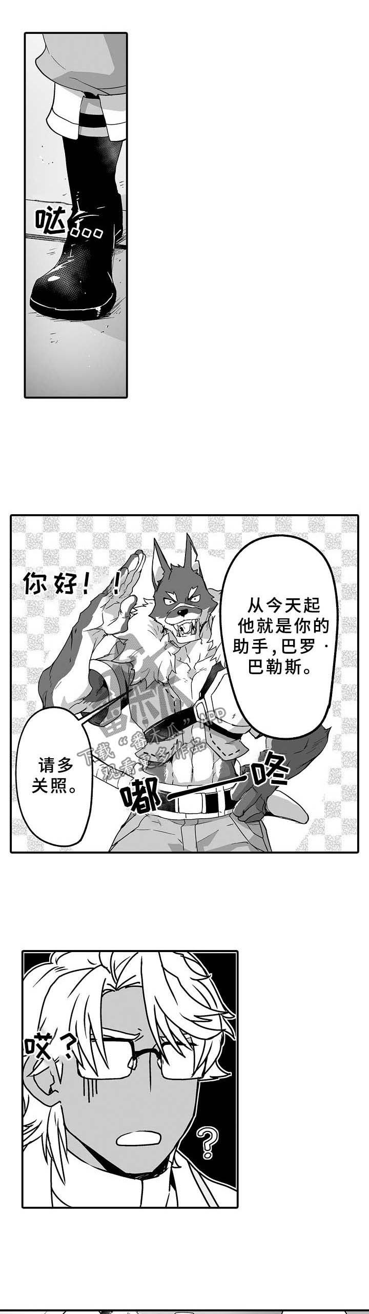 第28章：医生助手