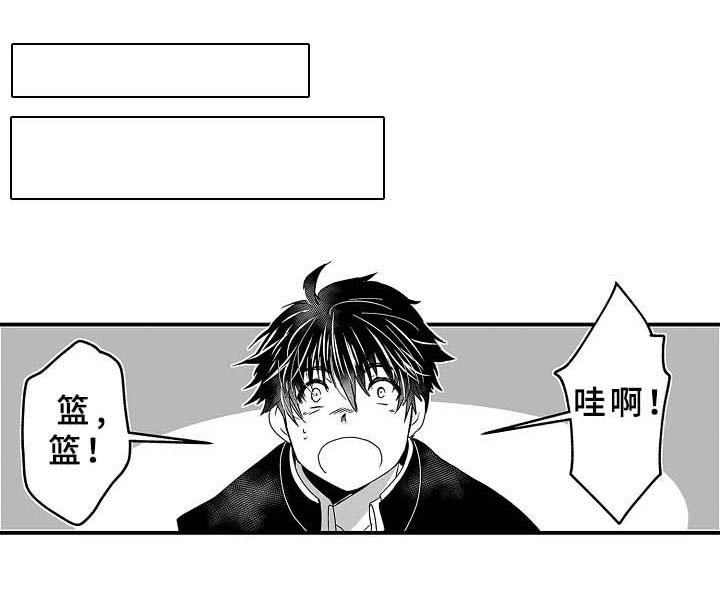 第29章：篮球