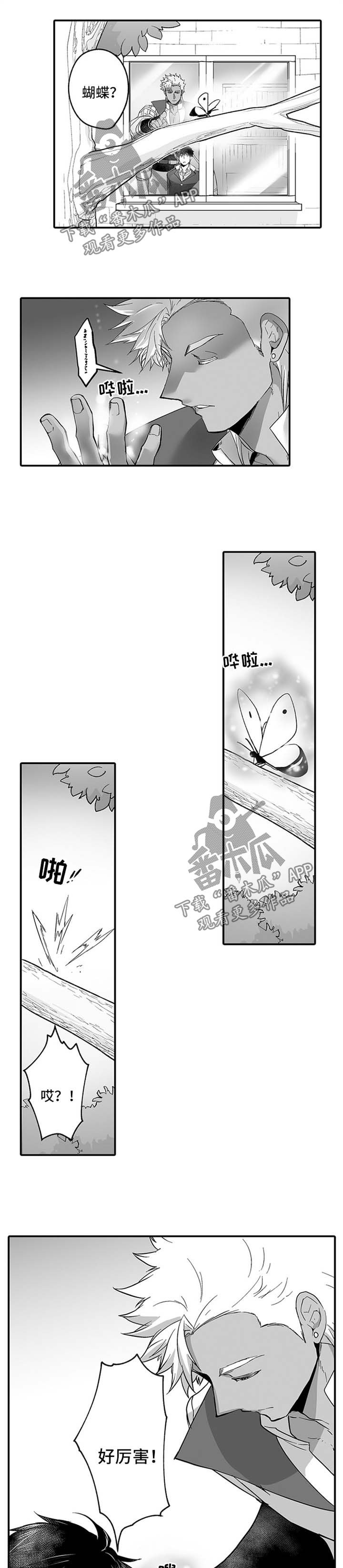 第37章：召唤的弊端