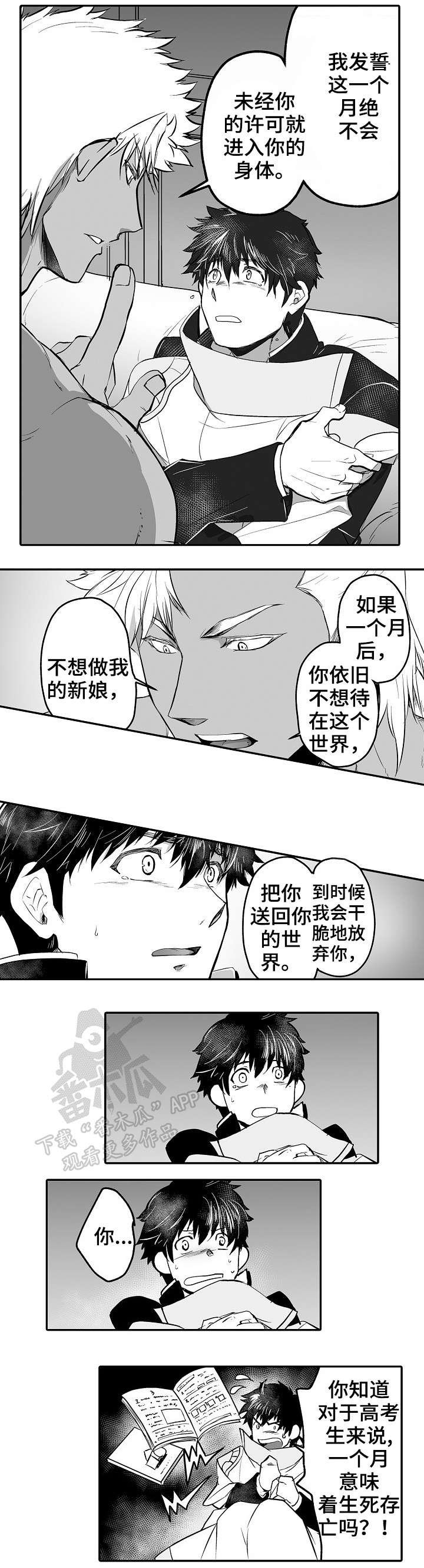 第4章：一个月