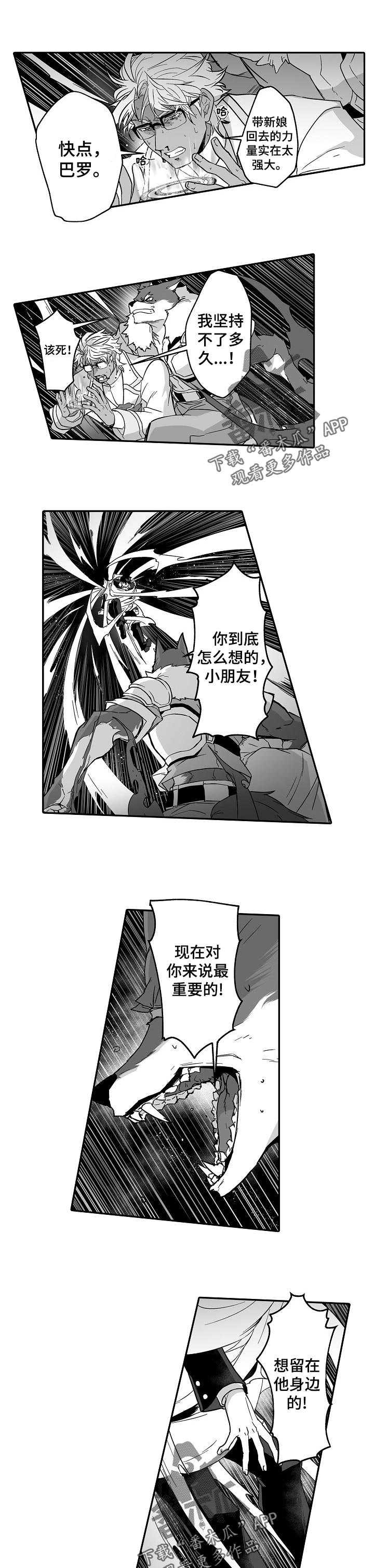 第42章：选择