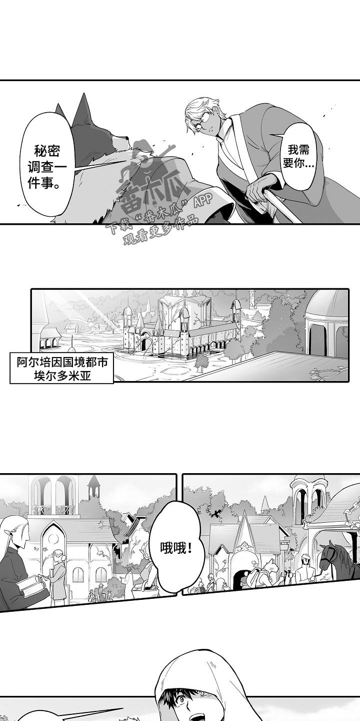 第51章：秘密调查