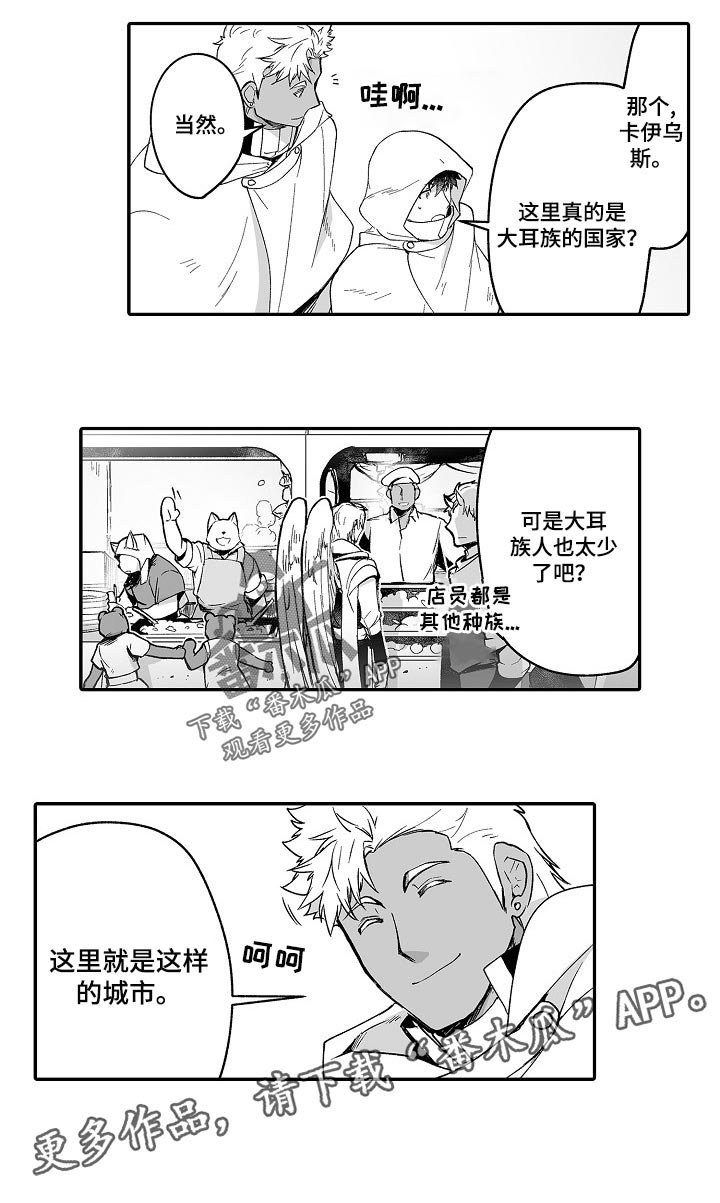 第51章：秘密调查