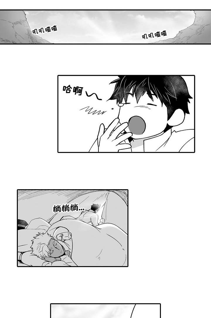 第54章：奇怪的东西