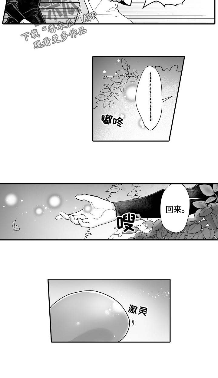 第55章：特别