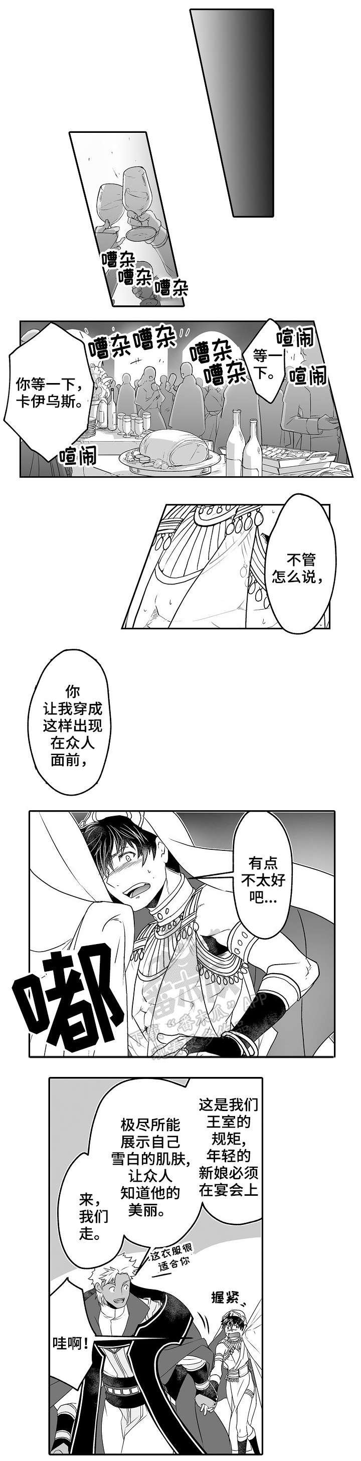 第8章：耀眼
