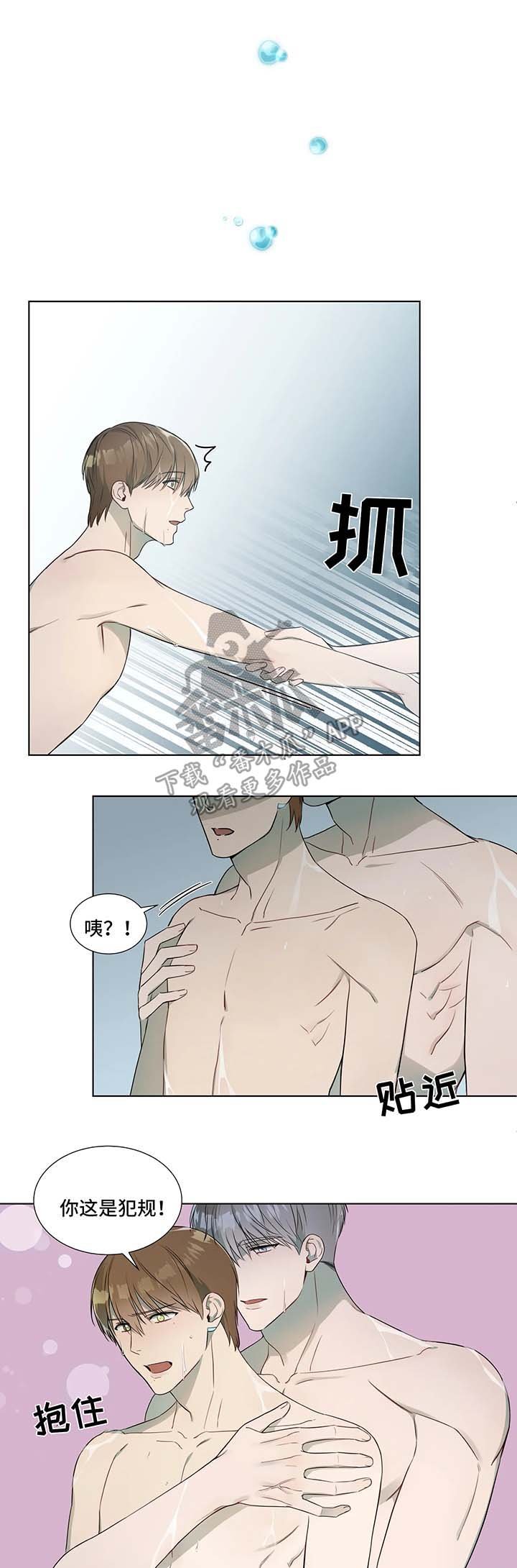 第19章：镜子中的我们
