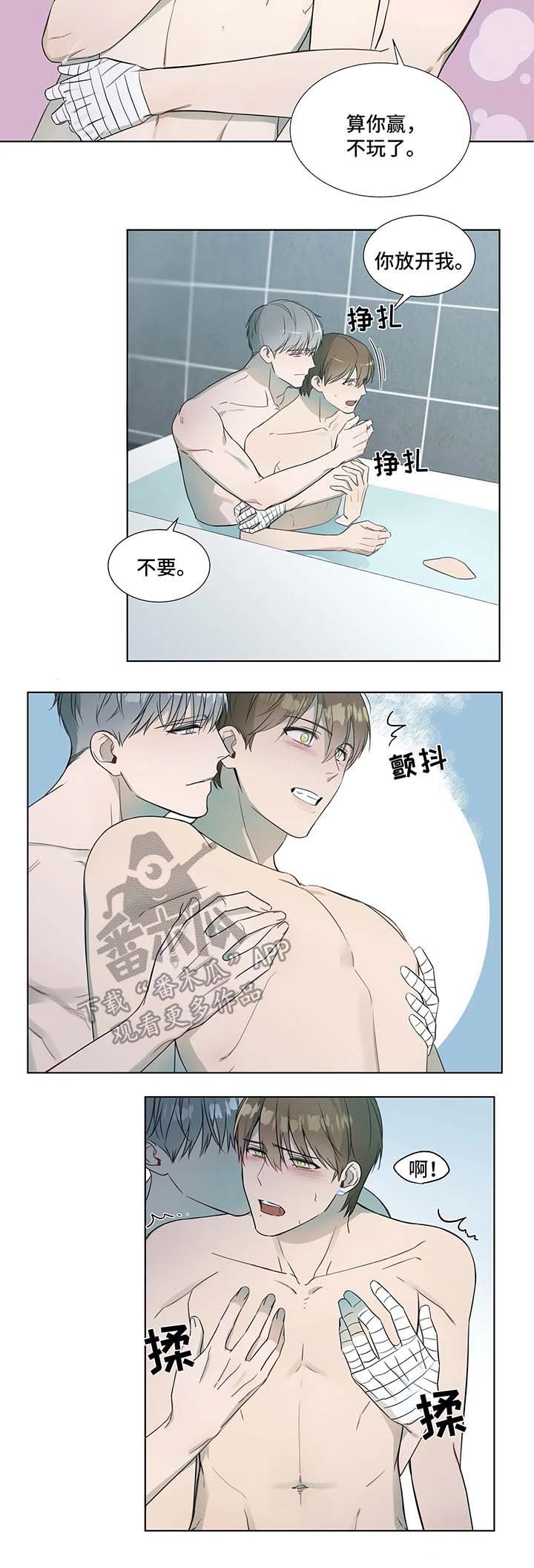 第19章：镜子中的我们