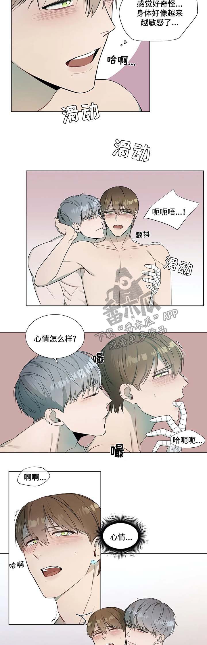 第19章：镜子中的我们