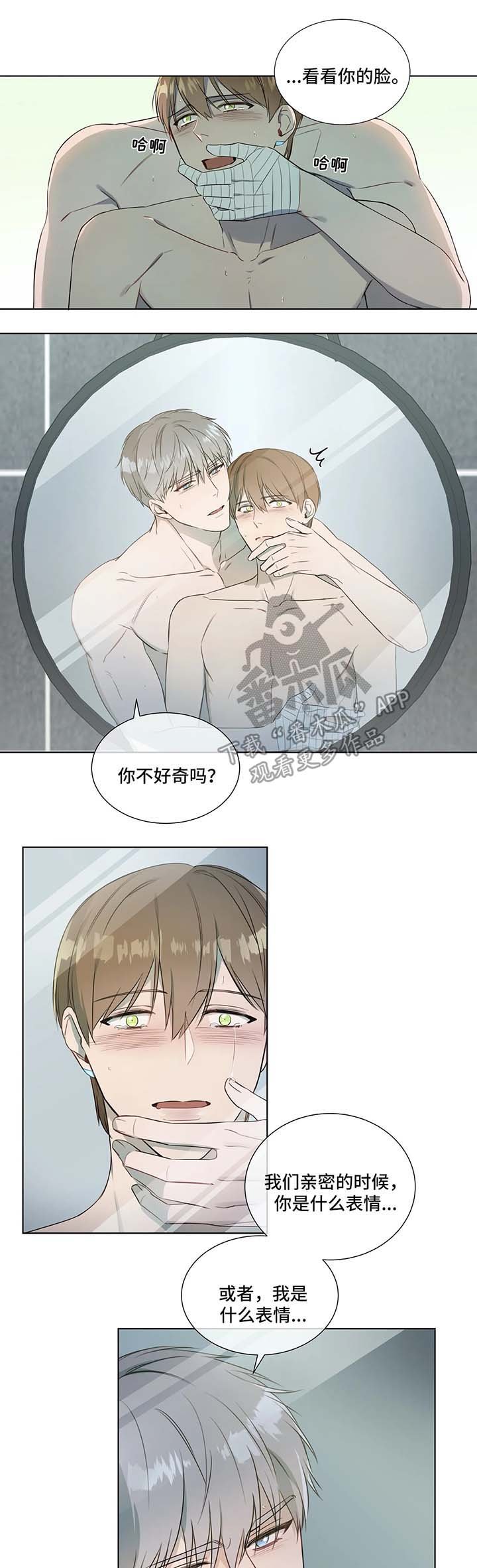 第19章：镜子中的我们