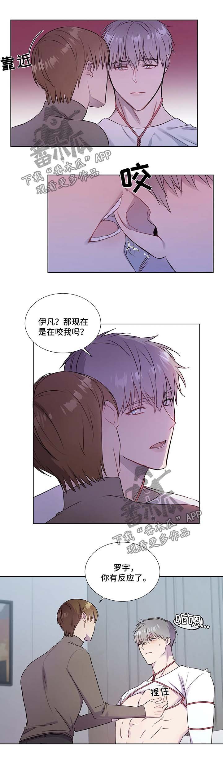 第28章：新课程