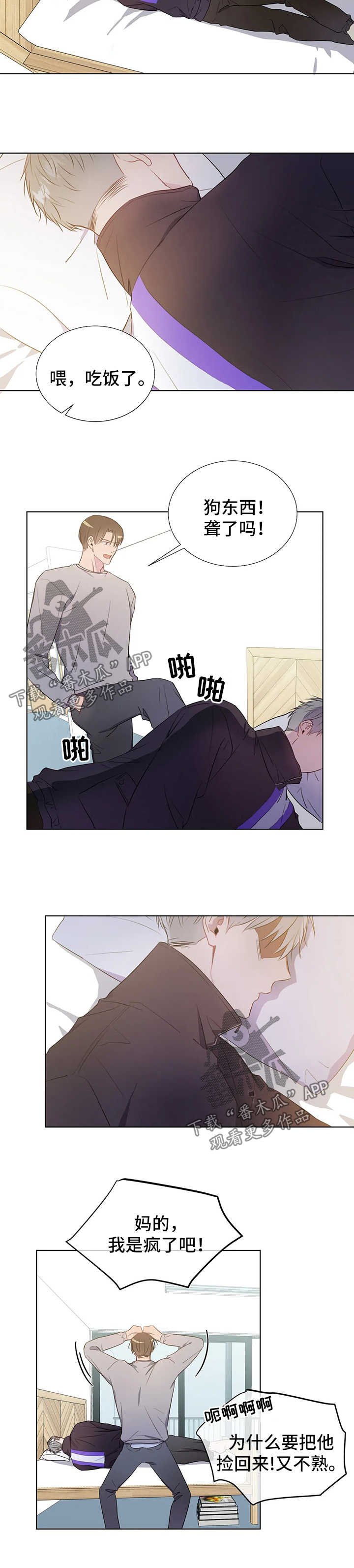 第42章：离家出走