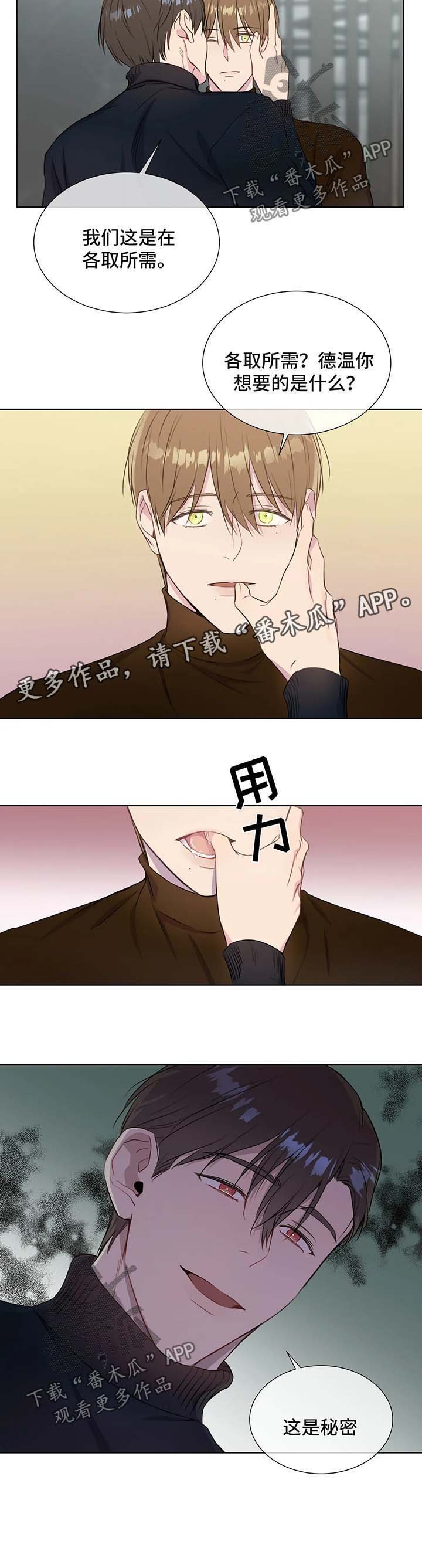 第44章：这是秘密