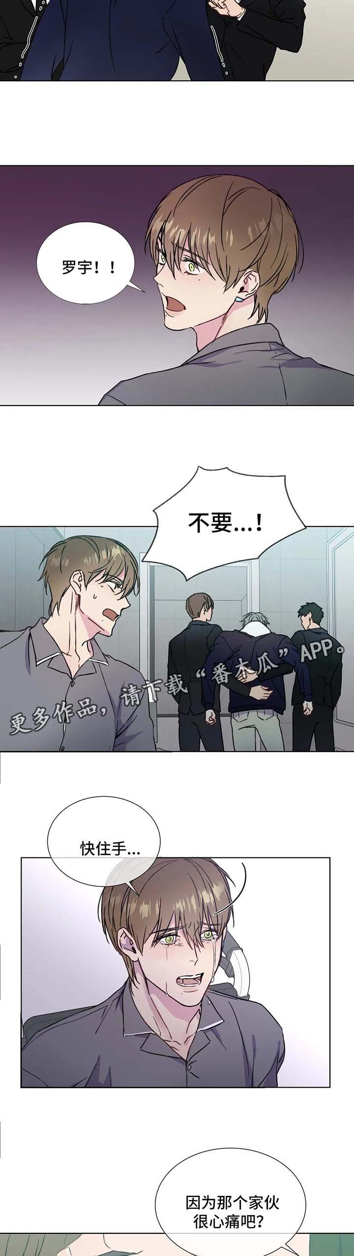 第56章：心痛