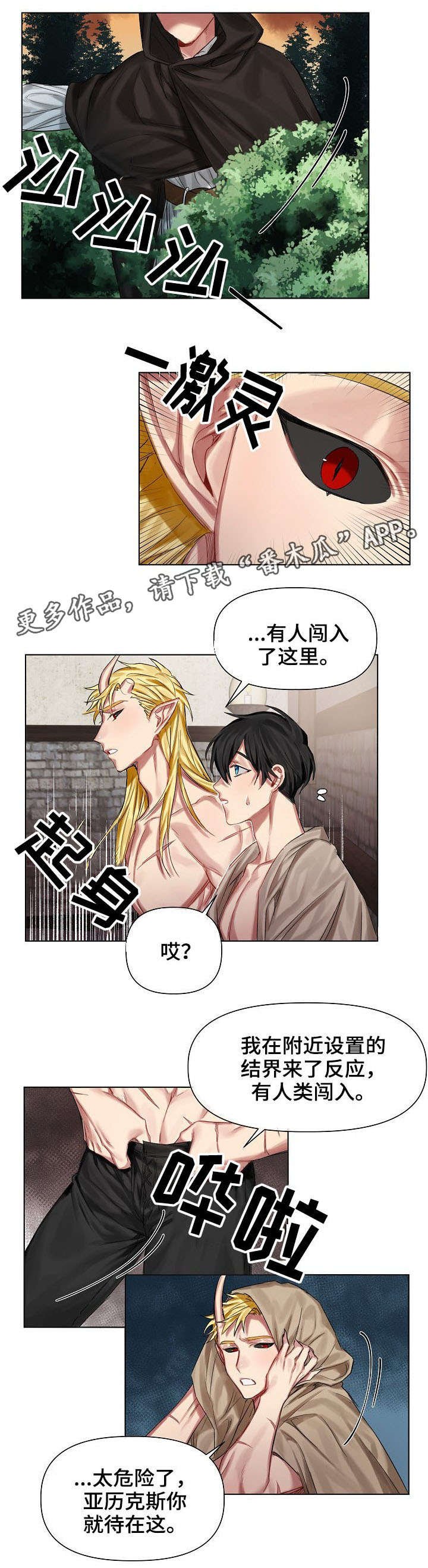 第12章：入侵者