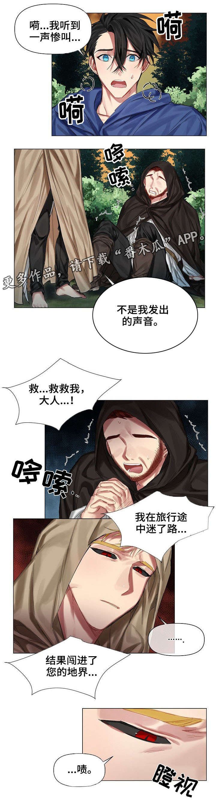 第12章：入侵者