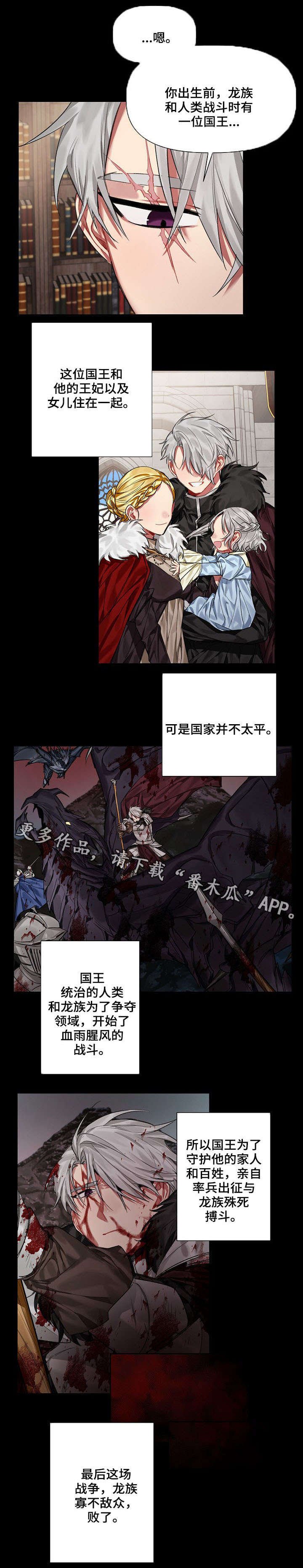 第17章：王与龙