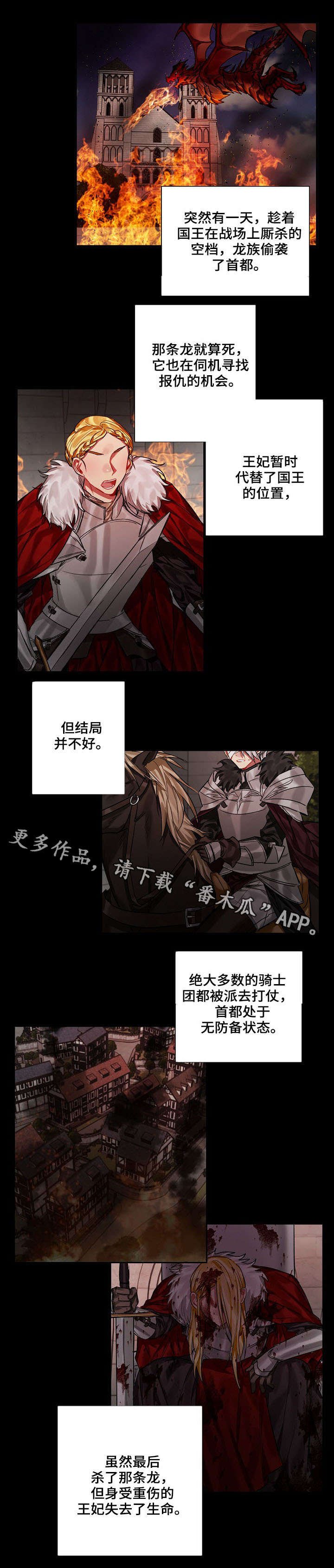第17章：王与龙