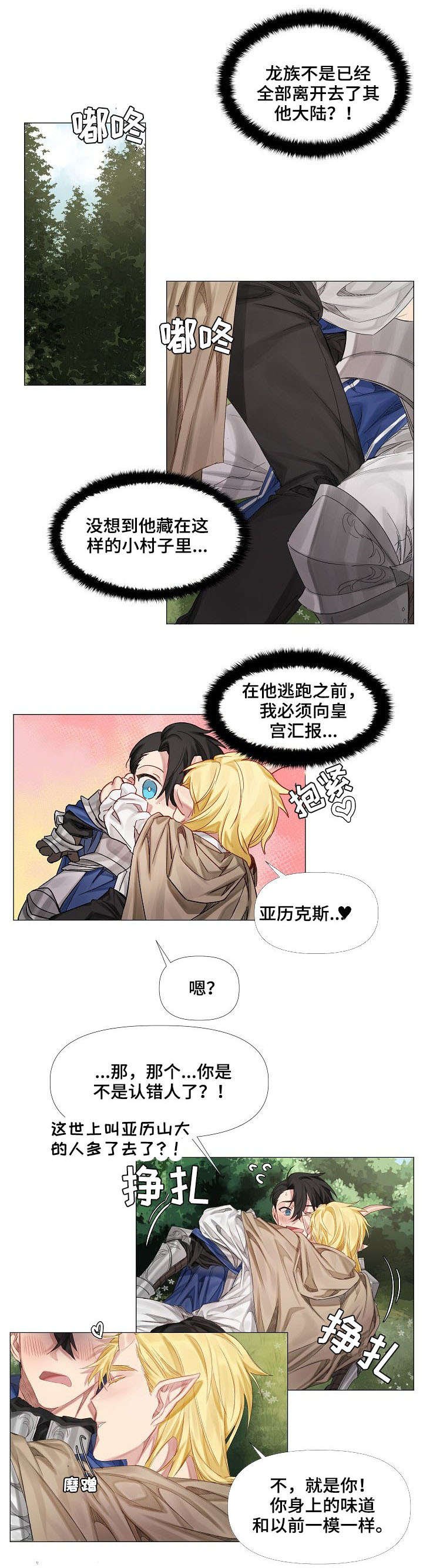 第2章：龙族