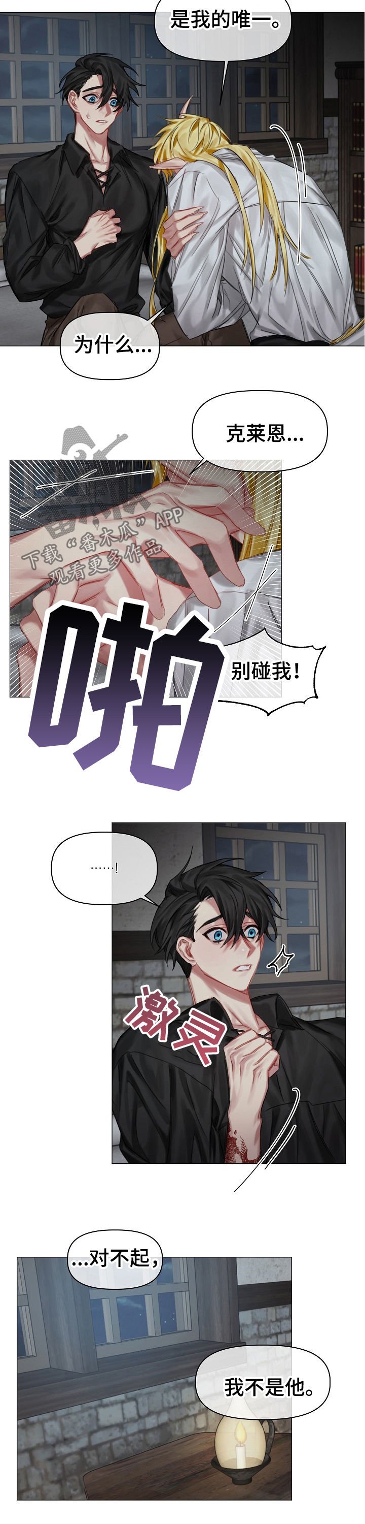 第29章：我不是他