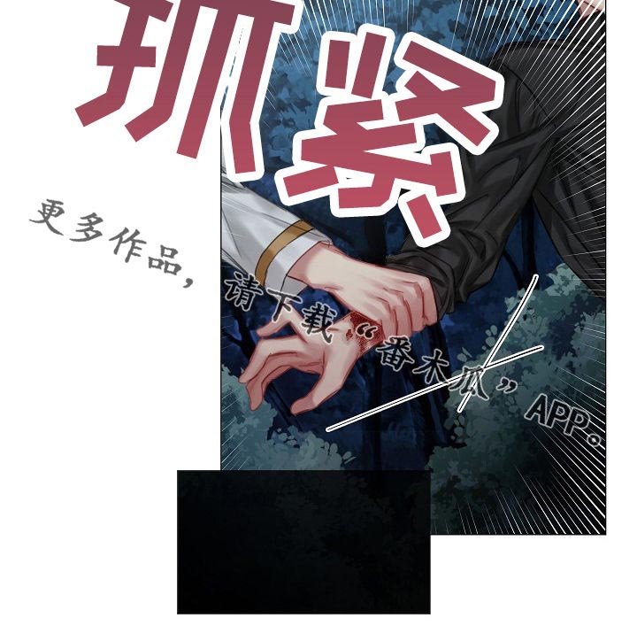 第29章：我不是他
