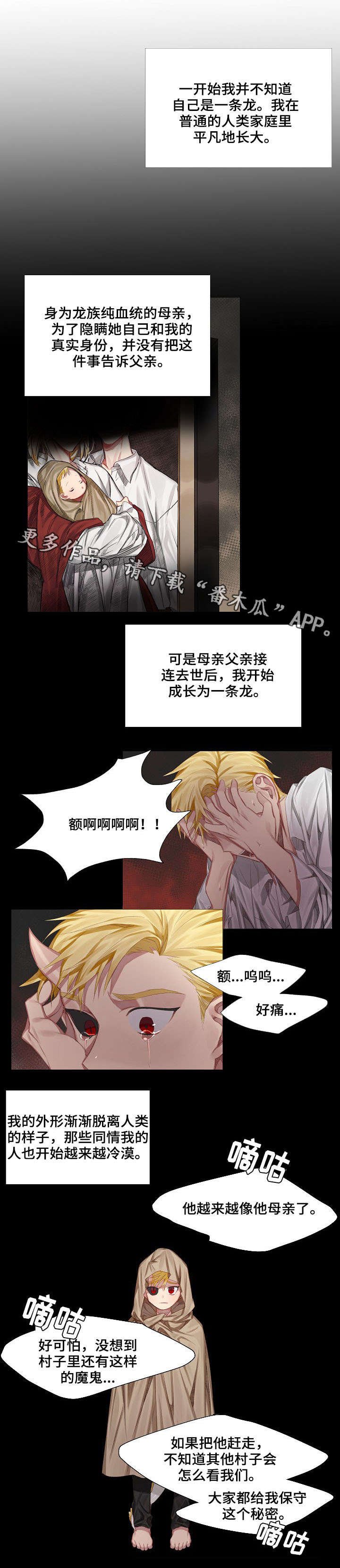 第3章：初见