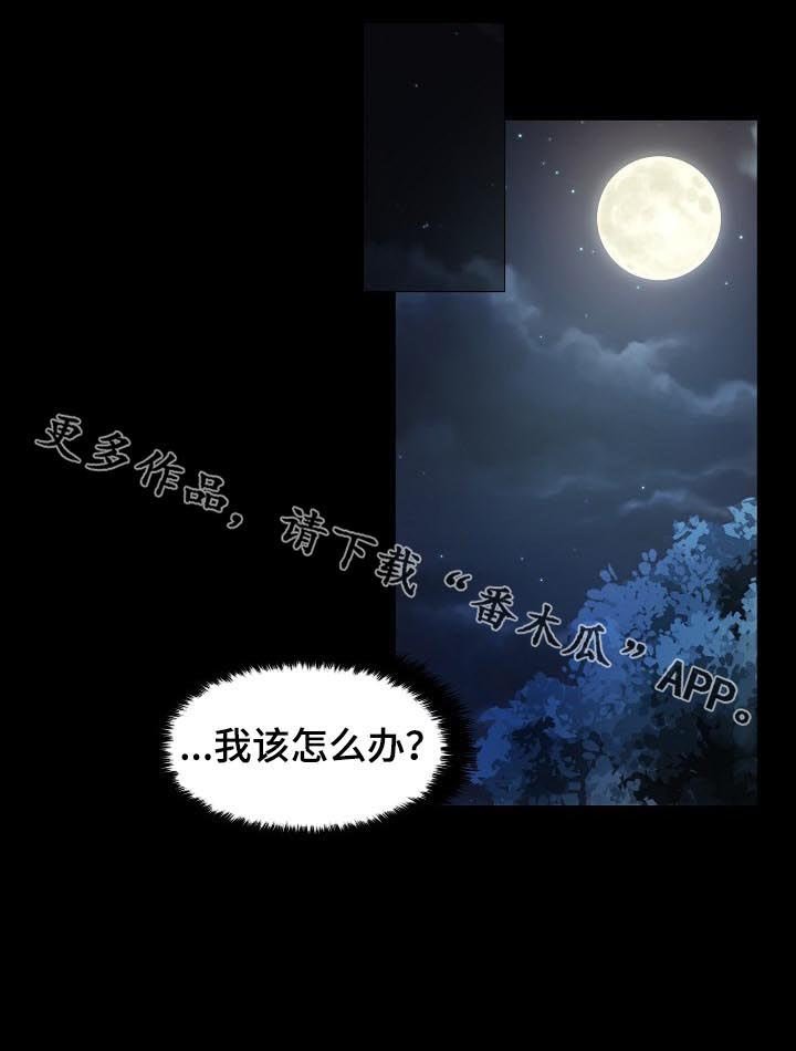 第30章：我爱他