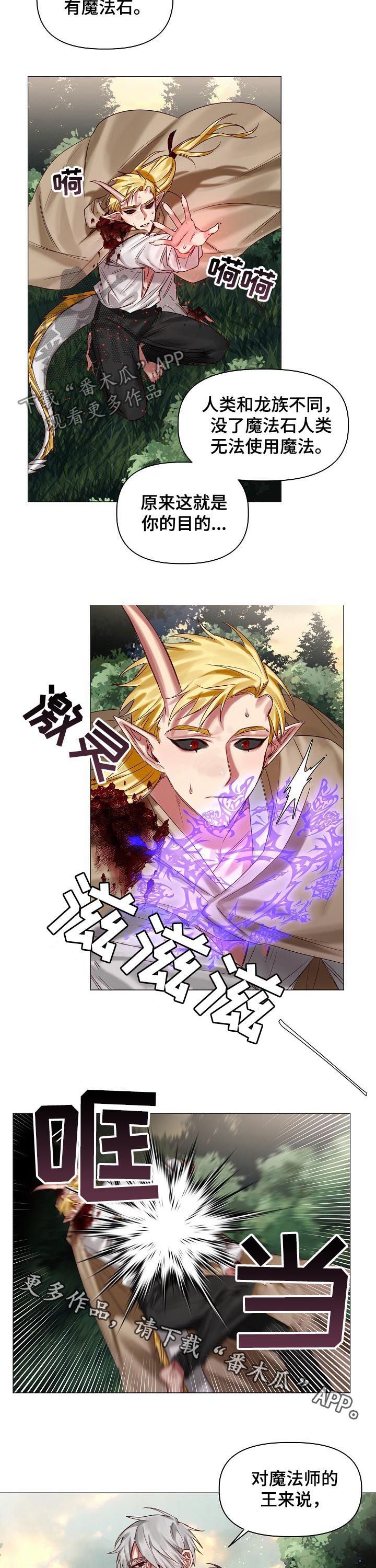 第39章：保守的手段