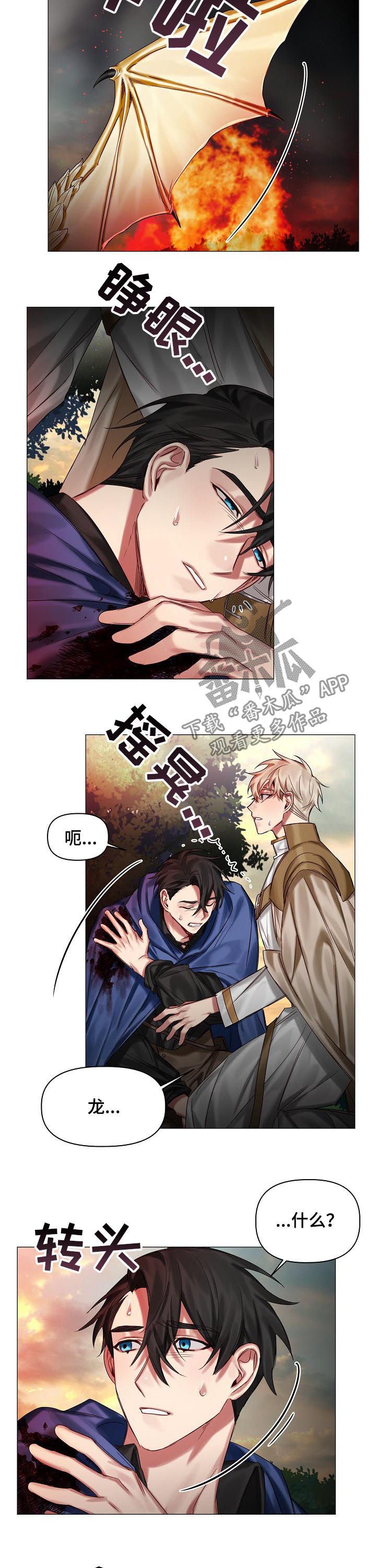 第41章：化龙