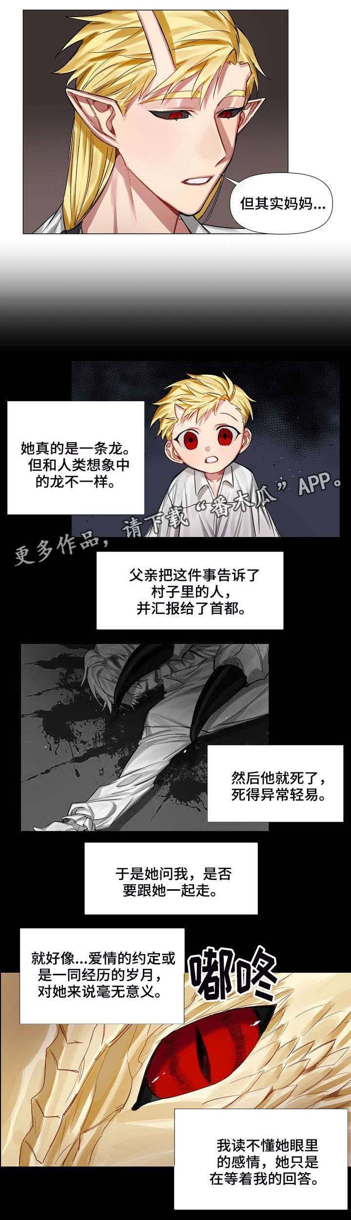 第9章：画像