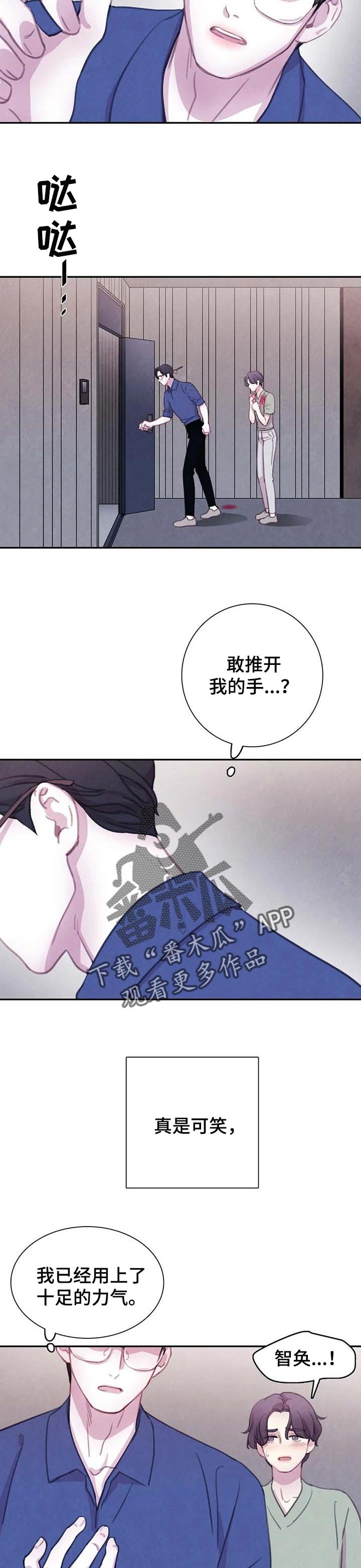 第110章：【番外】再也无法保护