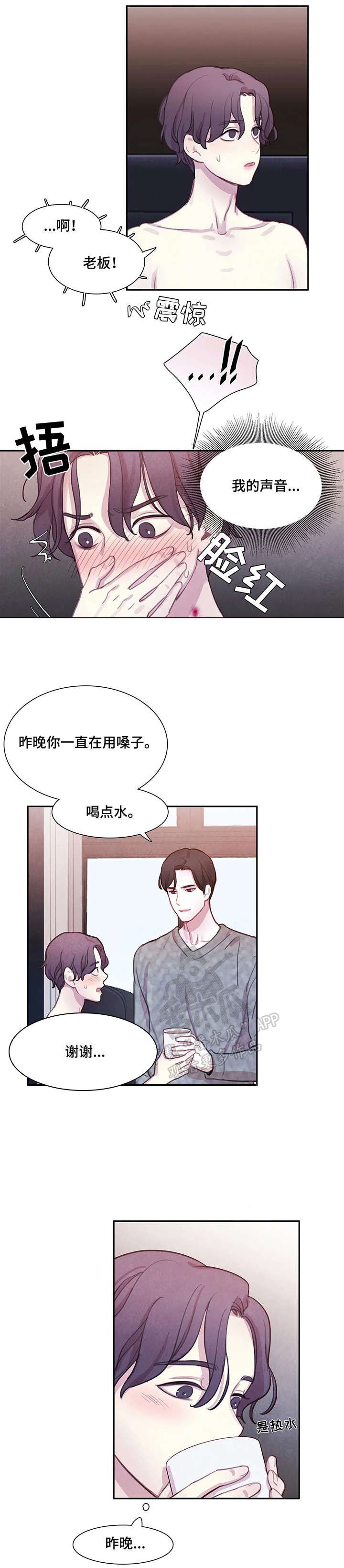 第13章：解释