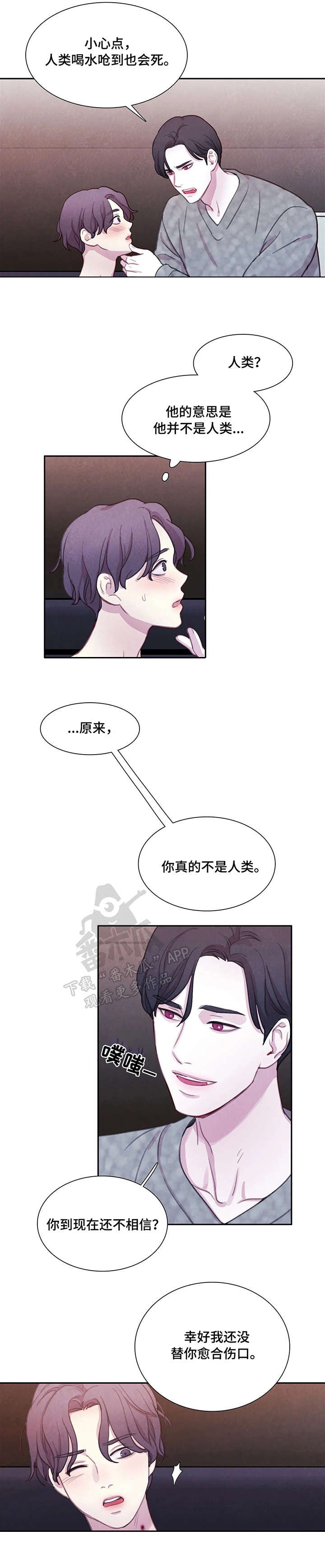 第13章：解释