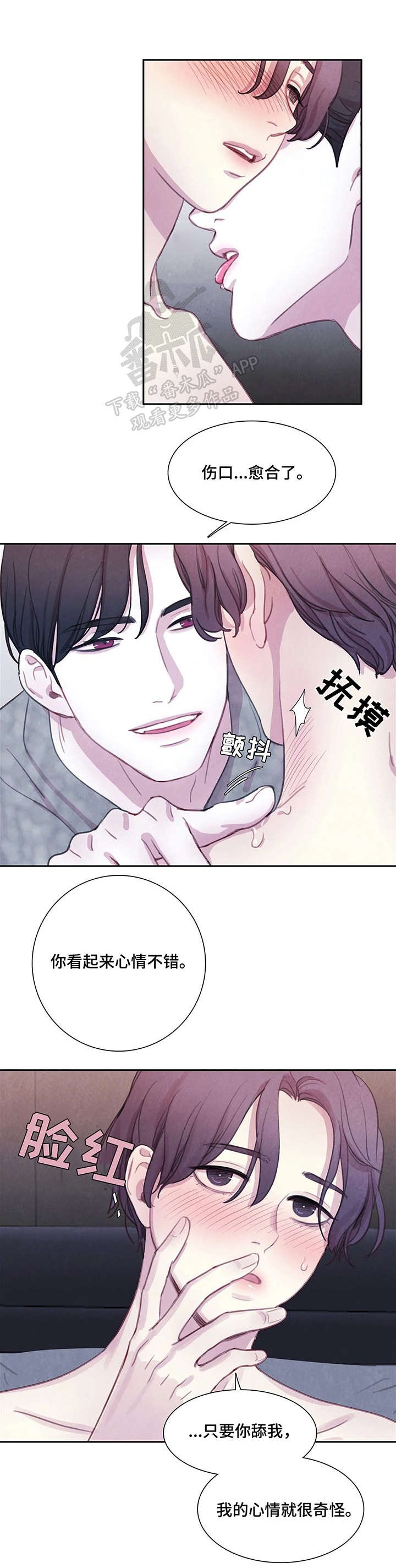 第13章：解释
