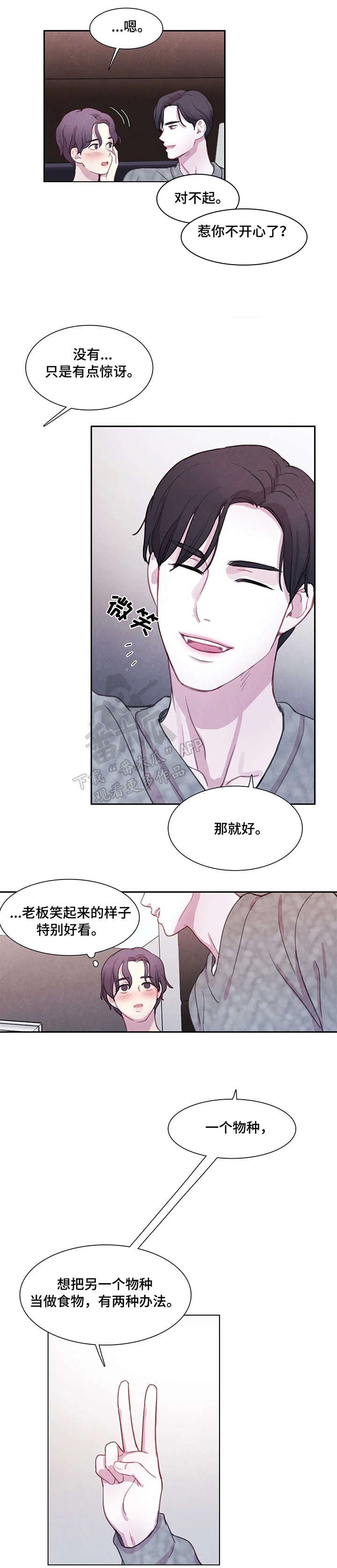 第13章：解释