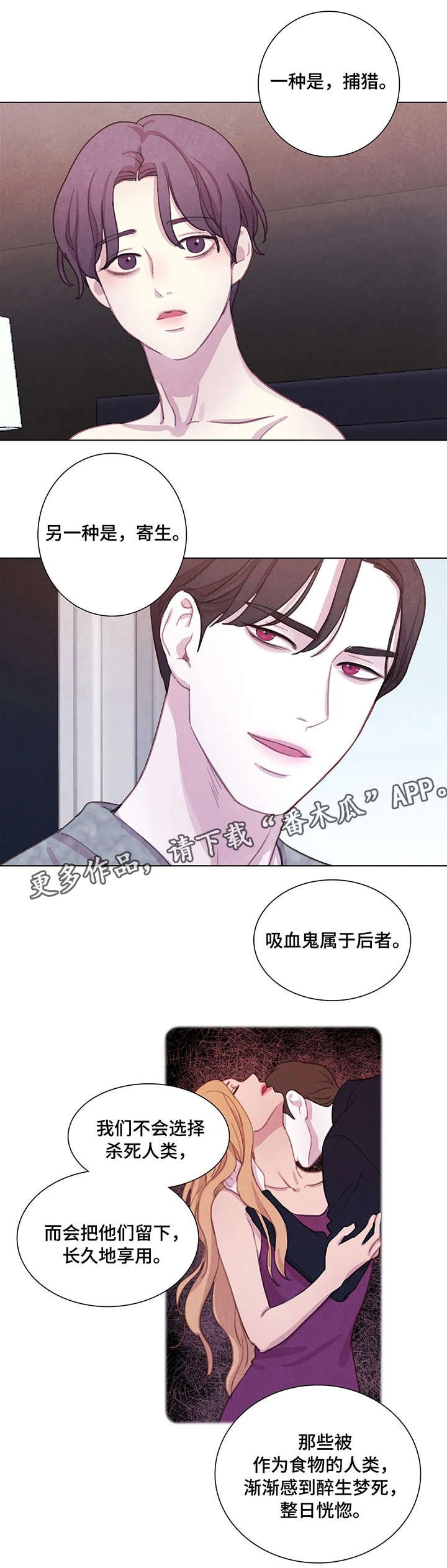 第13章：解释