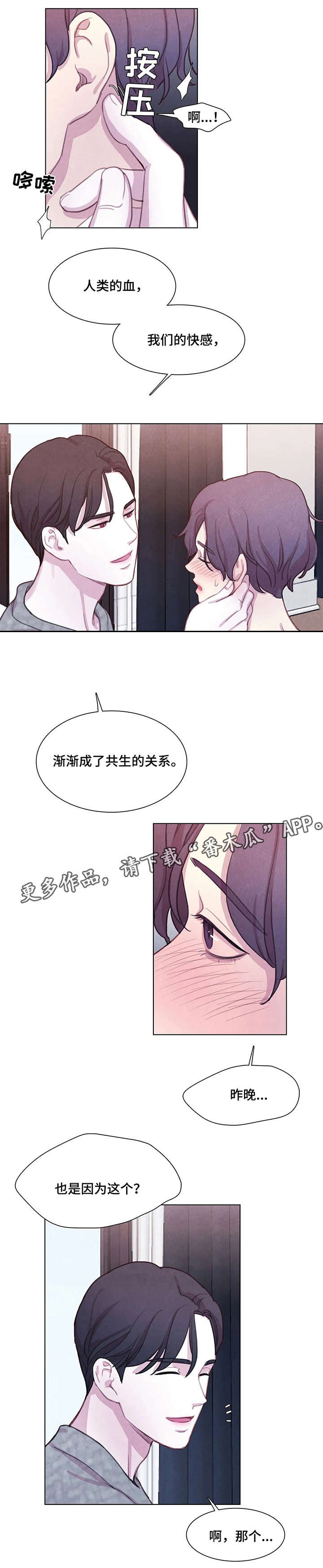 第13章：解释