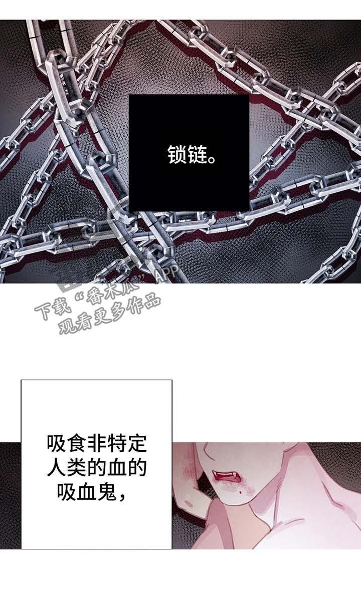 第27章：契约