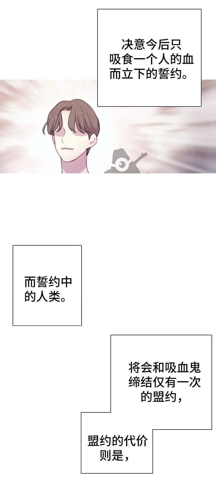 第27章：契约