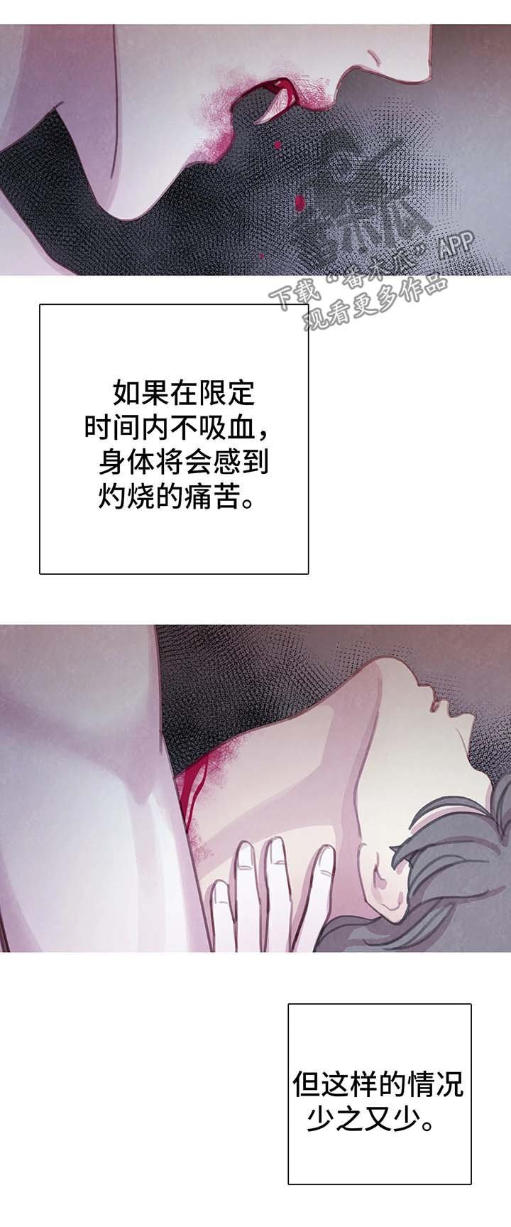 第27章：契约