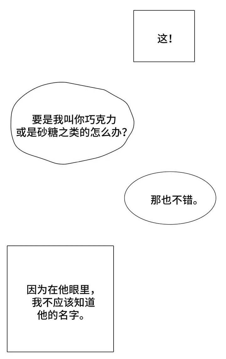 第34章：不再奢望