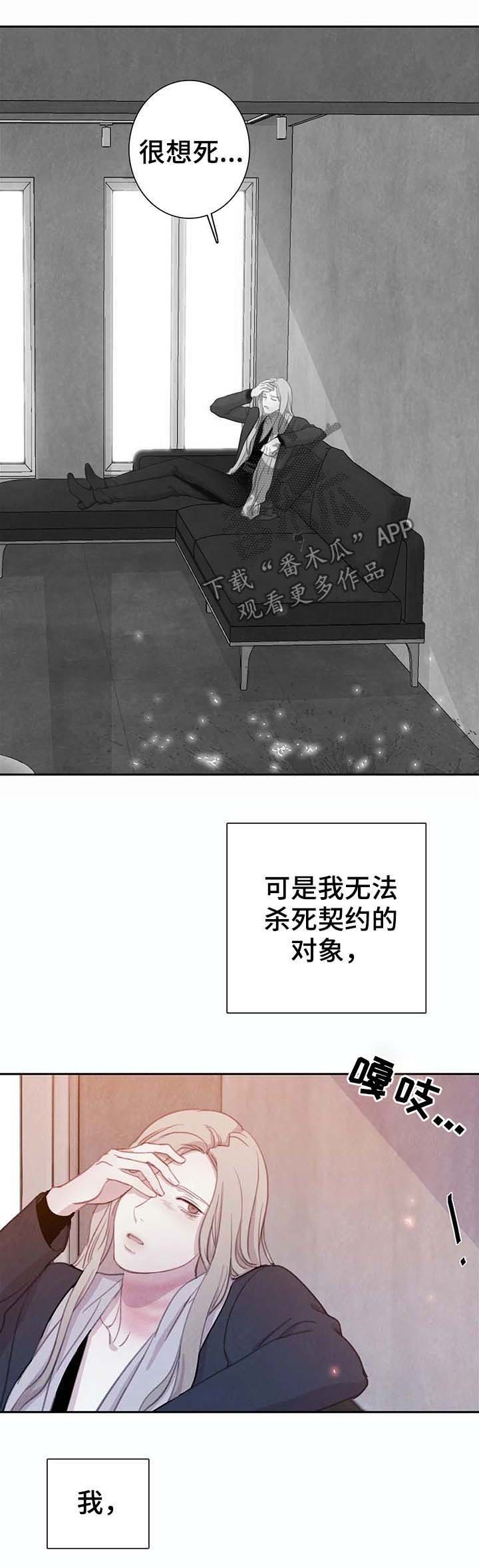 第36章：替代品