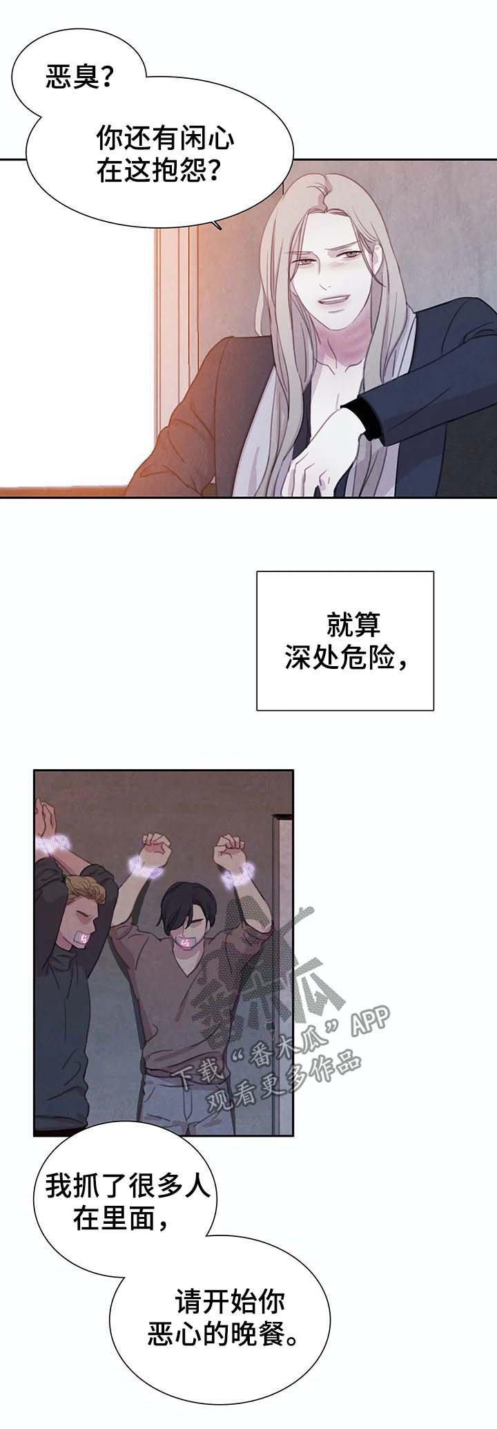 第36章：替代品